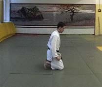 Ukemi in Aikido