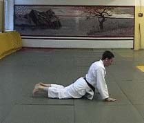 Ukemi in Aikido