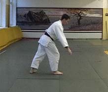 Ukemi in Aikido