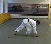 Ukemi in Aikido