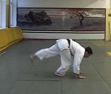 Ukemi in Aikido