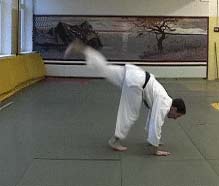 Ukemi in Aikido