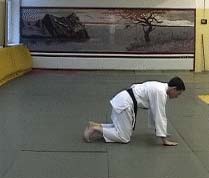 Ukemi in Aikido