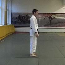 Ukemi in Aikido