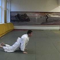 Ukemi in Aikido