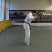 Ukemi in Aikido