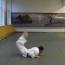 Ukemi in Aikido