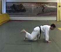 Ukemi in Aikido