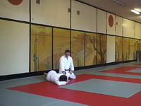 Aikido. Ikkyo