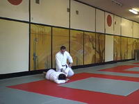 Aikido. Ikkyo