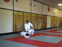 Aikido. Ikkyo