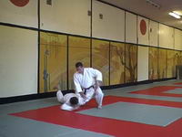 Aikido. Ikkyo