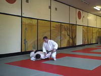 Aikido. Ikkyo