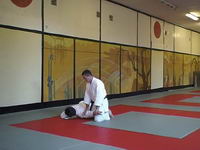 Aikido. Ikkyo