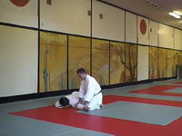 Aikido. Ikkyo