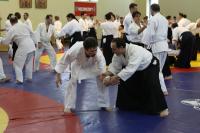 Photo from Moscow winter Aikido & Sistema seminar